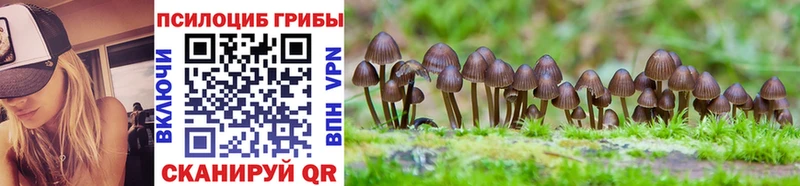 Псилоцибиновые грибы Cubensis  наркотики  kraken сайт  Спасск-Рязанский 